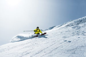 Snowbird Ski 25
